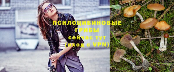 прущий лед Алзамай