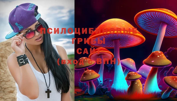 ешки Алексин