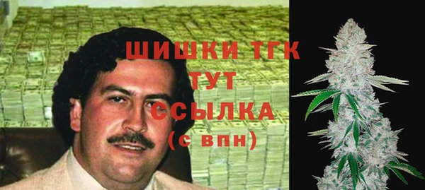 прущий лед Алзамай