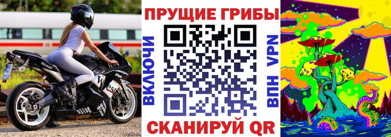 Галлюциногенные грибы мицелий Купить Каргополь